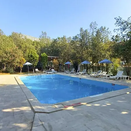 Tropicana Отель