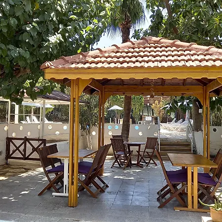 Отель Tropicana Датча