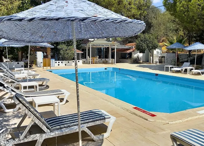 Tropicana Датча