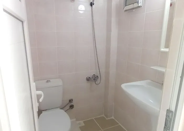 Tropicana * Датча